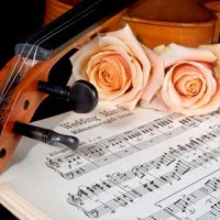 Violino