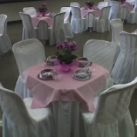 cobre mancha rosa
