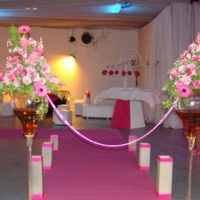 15anos pink