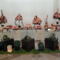 festa marrom-rosa