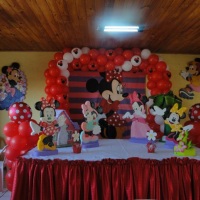 Festa Minnie