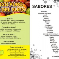 Nossos sabores de pura fruta