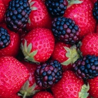 Suco feito com frutas frescas e com registo no MAPA