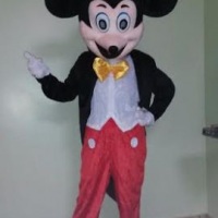 Mickey para Animar a Festa!!!