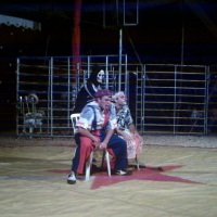 apresentao em circo 
