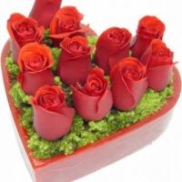 Flores especiais
