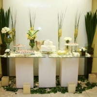 mesa de bolo,decorao de noivado