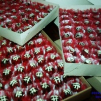 Mini trufas
