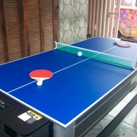 Mini ping pong