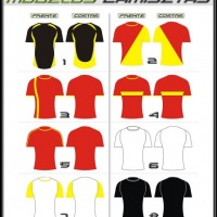 Camisetas Modelos
