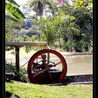 Campo