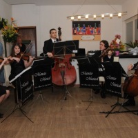 Apresenta��o musical