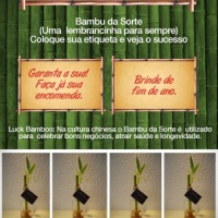 Bambu da sorte