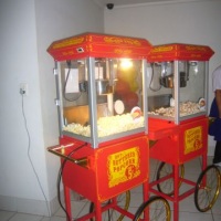 Festa de Anvers�rio da Minie