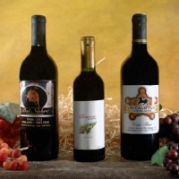 Garrafas 750ml Vinho Personalizados / Mini vinhos Personalizado 350ml