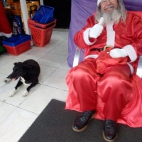 papai noel para supermercados