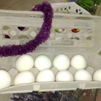 OVOS DE ARROZ!!!