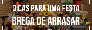 <b><b>Tema</b>s</b> de eventos: Festa Brega