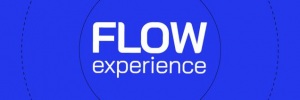 Flow Experience <b>2021</b>: <b>Por</b> dentro do maior evento on-line do pas