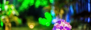 Buqus de Flores